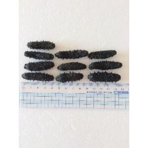 淡干海参 100g30個前後入 干しナマコ なまこ 魚介類 海産物 乾燥なまこ Ssサイズ A級品 干しなまこ 乾燥ナマコ 海参 干しナマコ ナマコ 海参 関西産 Tsnmk100g30 東成商事