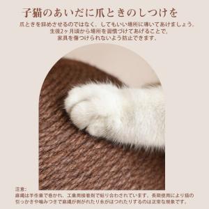 爪とぎ 猫 イキノコ爪とぎ 猫タワー タワー ...の詳細画像4