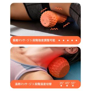 シェイプツインボール マッサージボール 健康 ...の詳細画像2