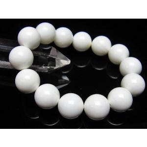 シャコガイ ブレスレット 10mm ランダム発送 メール便送料無料 [M便 1