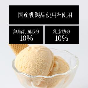 業務用 アイス バニラアイス 国産バニラアイス...の詳細画像1