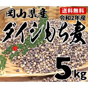 もち麦 5kg ダイシもち麦 岡山県産 2年産 一等 搗精麦 北海道・沖縄・離島配送不可 出荷表要確認