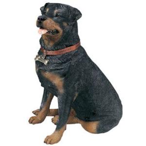 Labrador Retriever（ラブラドールリトリーバー） サンディキャスト