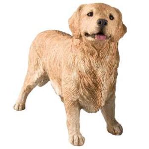 サンディキャストLS124/シーズー・ゴールド/ホワイト(Lサイズ