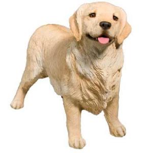 サンディキャストMS203/コッカースパニエル・バフ(MSサイズ） : Online