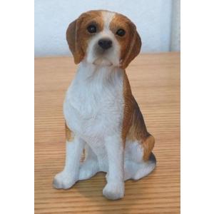 Labrador Retriever（ラブラドールリトリーバー） サンディキャスト