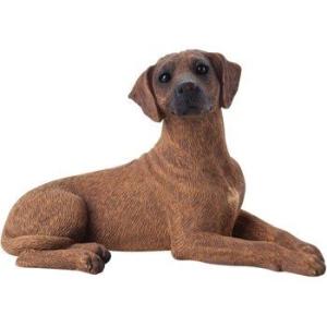 Labrador Retriever（ラブラドールリトリーバー） サンディキャスト