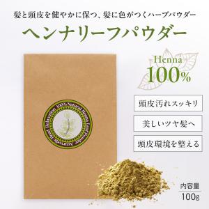 ヘナ インド 白髪染め アーユルヴェーダ 白髪染めシャンプー オーガニック カラー 天然 ヘアケアヘンナリーフパウダー 100g ツヤ ハリ コシ 補修