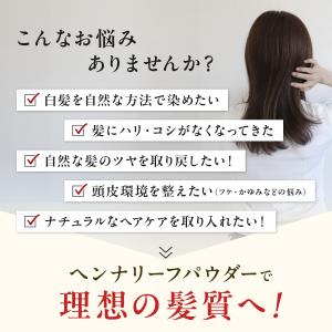 ヘナ インド 白髪染め アーユルヴェーダ 白髪...の詳細画像1