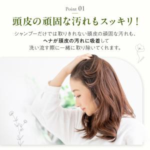 ヘナ インド 白髪染め アーユルヴェーダ 白髪...の詳細画像2