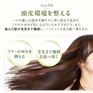 ヘナ インド 白髪染め アーユルヴェーダ 白髪...の詳細画像5