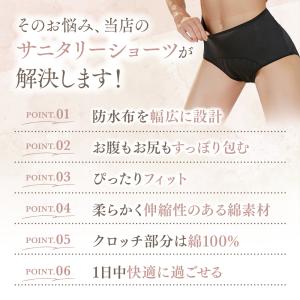 サニタリーショーツ 生理用 3枚セット 防水布...の詳細画像2