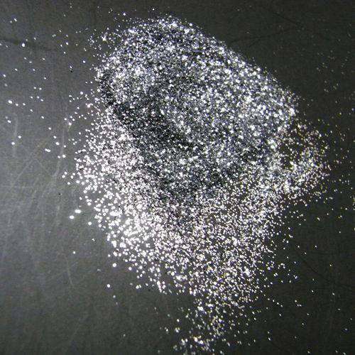 ラメ粉【シルバー0.2ｍｍ】4g