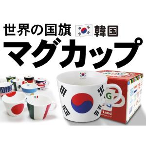 フラッグマグカップ 大韓民国 韓国 国旗柄 満水容量380ml 陶磁器製 日本製｜tospashop