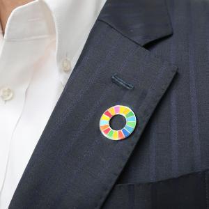 TOSPA ピンバッジ SDGs カラーホイー...の詳細画像1