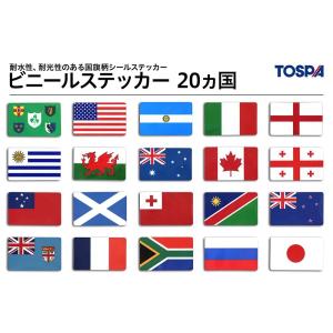 TOSPA ビニールシールステッカー アルゼン...の詳細画像2