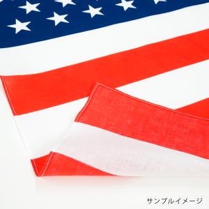 TOSPA バンダナ イタリア 国旗柄 綿10...の詳細画像1