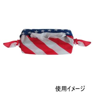 TOSPA バンダナ イタリア 国旗柄 綿10...の詳細画像4
