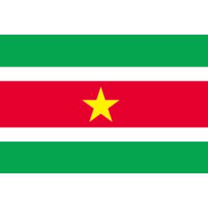 TOSPA 世界の外国旗 スリナム国旗(手旗25×37.5cm ポール付き)｜tospashop