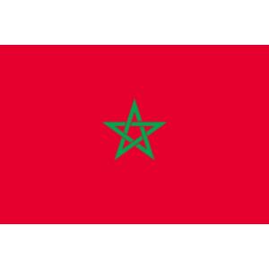 TOSPA 世界の外国旗 モロッコ国旗(手旗25×37.5cm ポール付き)｜tospashop
