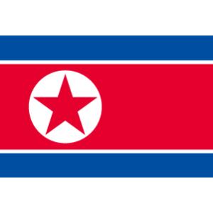 TOSPA 朝鮮民主主義人民共和国 北朝鮮 国旗 卓上旗 旗サイズ：16×24cm