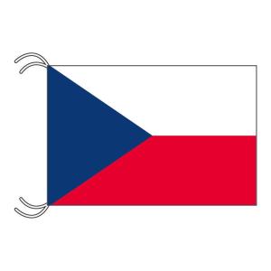 TOSPA 大分県旗 日本の都道府県の旗 90×135cm テトロン製 日本製