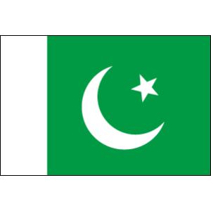 【レンタル　国旗セット3泊4日】　パキスタン国旗セット（90×135ｃｍ・ポール・スタンド付き）｜tospashop