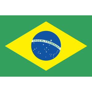 【レンタル　国旗セット3泊4日】　ブラジル国旗セット（90×135ｃｍ・ポール・スタンド付き）｜tospashop