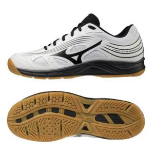 ドッジボールシューズ バレーボールシューズ ジュニア