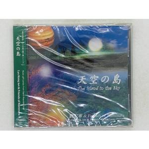即決CD 未開封 ダンス教材 学芸会 おゆうぎ会用 / 城野賢一・清子 監修