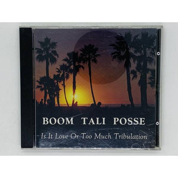 即決CD BOOM TALI POSSE / IS IT LOVE OR TOO MUCH TRIB...