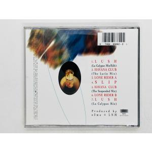 即決CD Ottmar Liebert + L...の詳細画像1