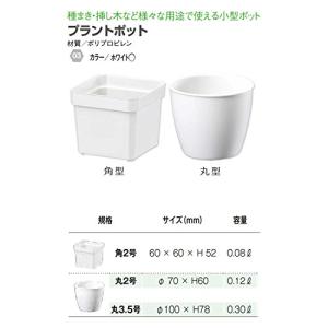 大和プラスチック プラントポット 丸2号 0....の詳細画像5
