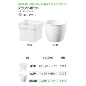 大和プラスチック プラントポット 丸3.5号 ...の詳細画像3