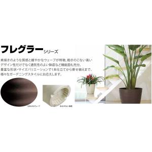 大和プラスチック プランター フレグラープレー...の詳細画像3