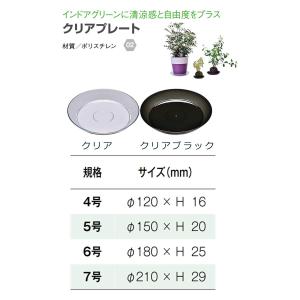 大和プラスチック クリアプレート 4号 クリア...の詳細画像2