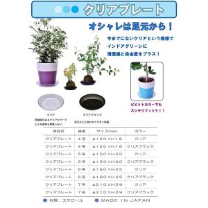 大和プラスチック クリアプレート 4号 クリア...の詳細画像3