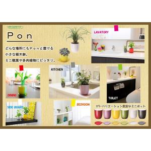 大和プラスチック PONプレート 3号 ホワイ...の詳細画像5