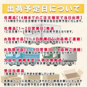 チップソージャパン ベストマックスレボリューシ...の詳細画像1