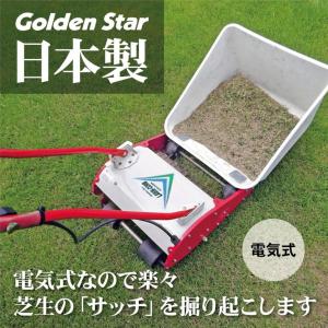 ゴールデンスター(キンボシ) LCA-260R...の詳細画像1