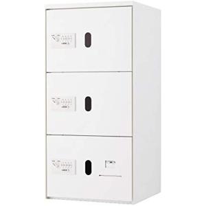 杉田エース Nasta(ナスタ) 宅配ボックス Nasta Box LIGHT Lサイズ