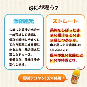 デコタンゴール 500ml瓶 × 6本入 伯方...の詳細画像4