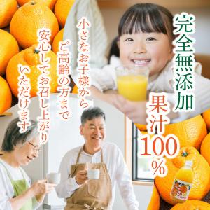 デコタンゴール 500ml瓶 × 6本入 伯方...の詳細画像5