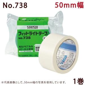 養生テープ  60こ セキスイ 養生テープ フィットライトテープ No.738 (半透明