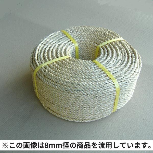 マニラ麻ロープ（染めサイザル麻）　18mm径×約200m巻　1巻 (HA)