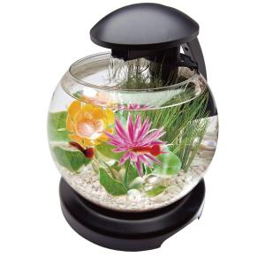 21年最新版 金魚水槽の人気おすすめランキング15選 おしゃれなレイアウトで快適空間を セレクト Gooランキング