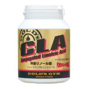 ゴールドジム（GOLD'S GYM） アミノ14 500g : トータスヤフー店 - 通販