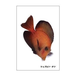 シェブロン・タンの魚シール｜totomonya