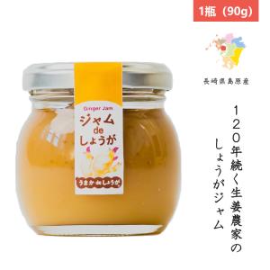 松本農園のジンジャーシロップ 3本セット(250g x 3本) 送料無料 長崎県