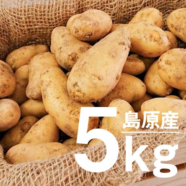 【先行受付 12月中旬より出荷開始】雲仙 冬じゃがいも 5kg 島原半島産 送料無料